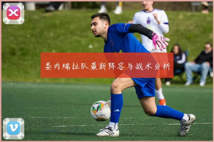 委内瑞拉队最新阵容与战术分析