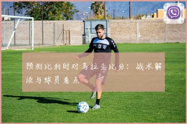 预测比利时对乌拉圭比分：战术解读与球员看点